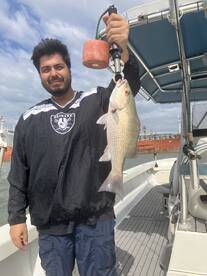 Exceptional Inshore Bay and nearshore gu