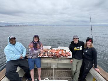Big rockfish locally!
