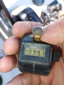 Look at the size of that surprise! 