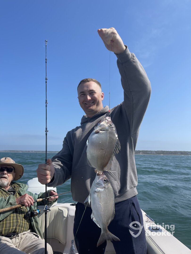 Fairhaven Report Photo 0