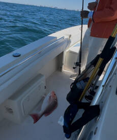 Panama City Beach Report Photo 2