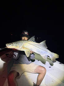 Port Canaveral Report Photo 2