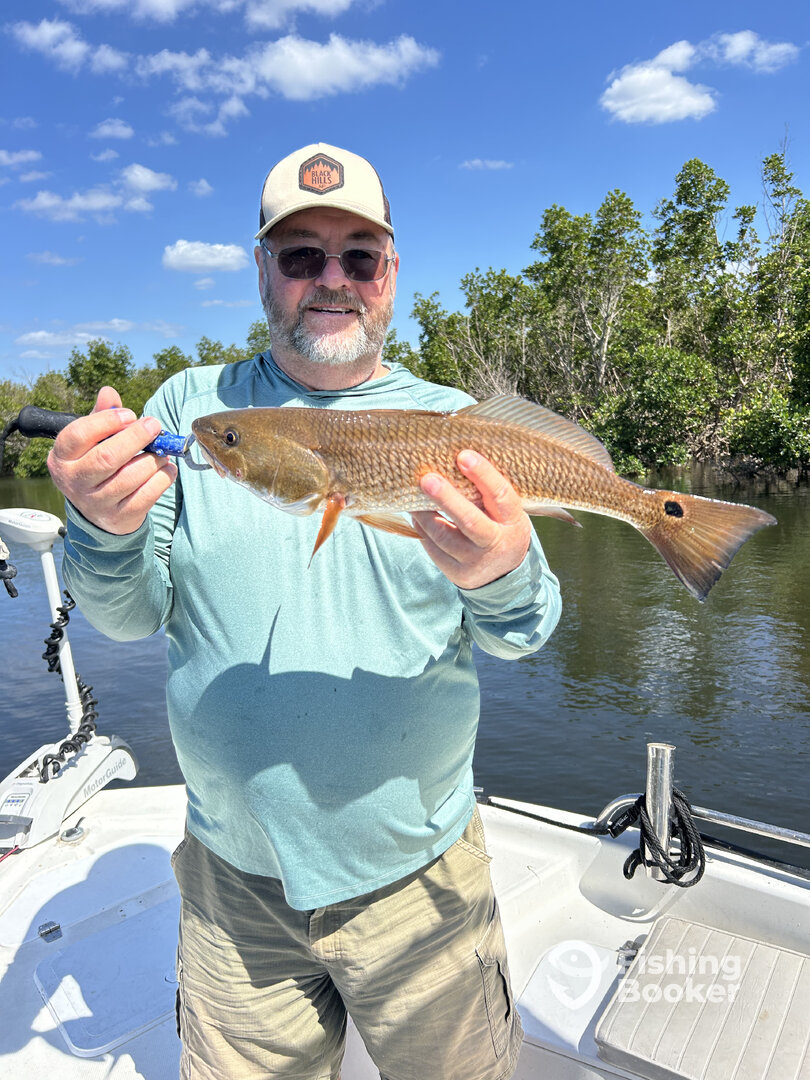 Punta Gorda Report Photo 0