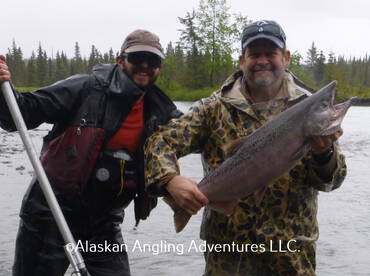 King Salmon are on the Bite