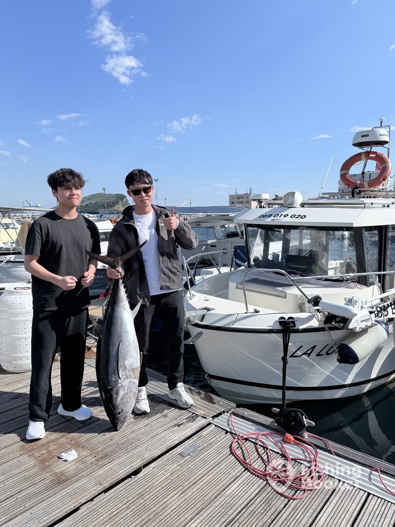 Budva Report Photo 0