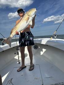 Yorktown Report Photo 2