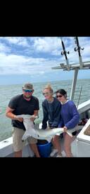 1/2 day Shark fishing 