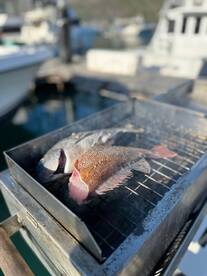 Hout Bay Report Photo 2