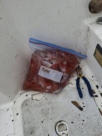 Parksville Report Photo 2