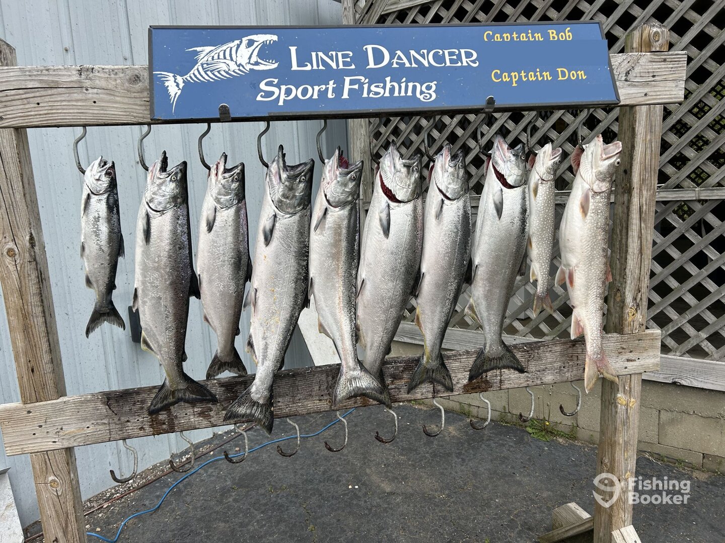 Benton Harbor Report Photo 0