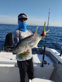 Jack Crevalle fresh ceviche! 