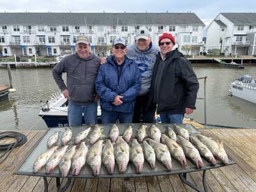 Sring Time Walleye Fishing Fest