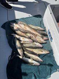 Lorain Report Photo 1