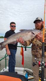 Catfish are on fire in the flood waters 