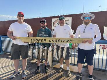 Duluth Report Photo 1