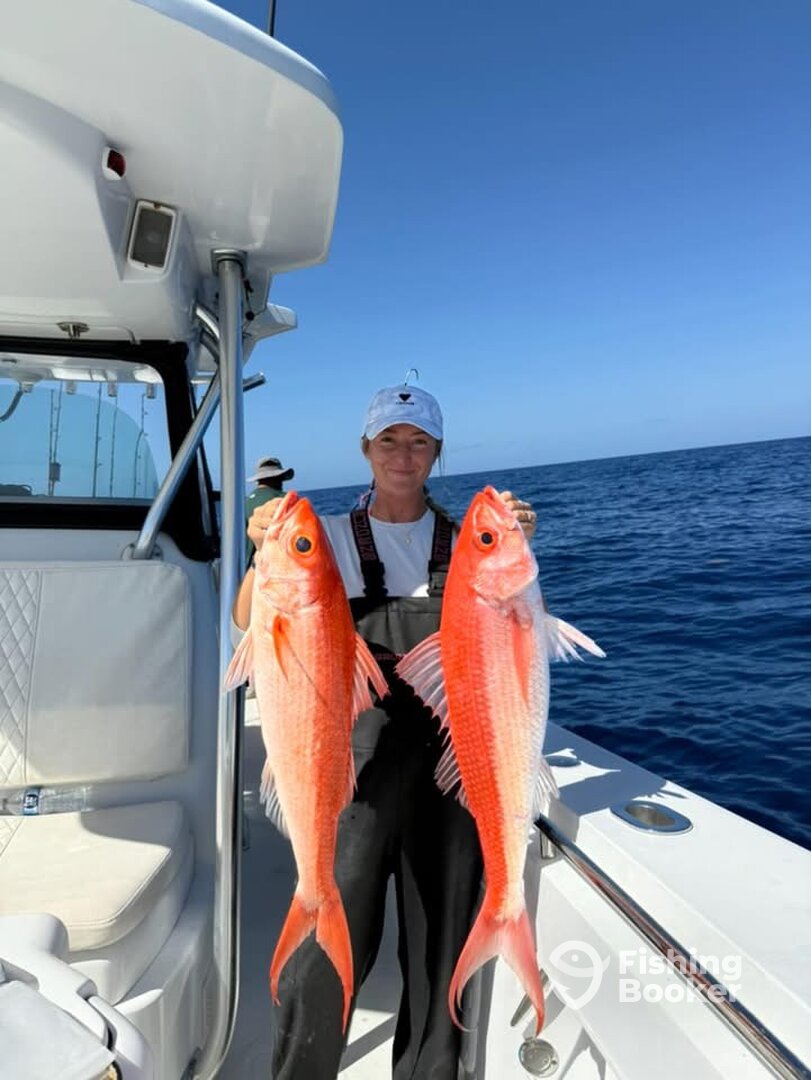 Englewood Report Photo 0