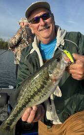 Branson Report Photo 2