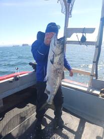 Giant chinook of the season so far