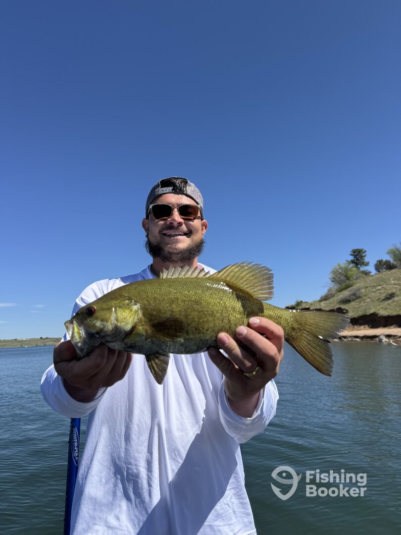 Denver Report Photo 0