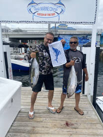 Tunas starting to get bigger..