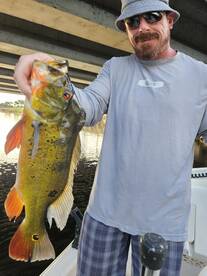 Delray Beach Report Photo 1