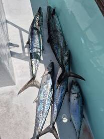 Great 6 hour with these two!