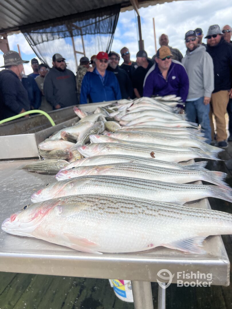 Pottsboro Report Photo 0