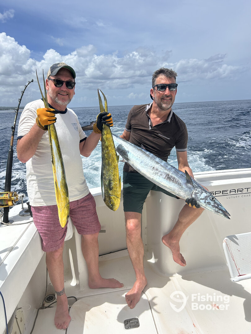 Barbados Report Photo 0