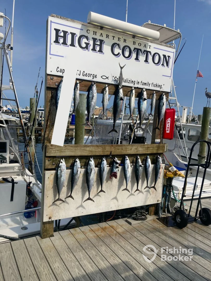 Destin Report Photo 0