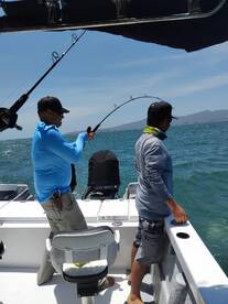 Puerto Vallarta Report Photo 2