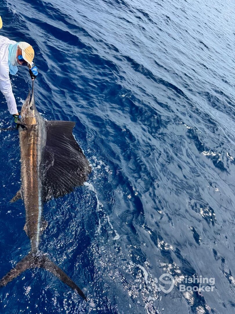 Paquera Report Photo 0