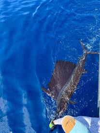 Paquera Report Photo 2