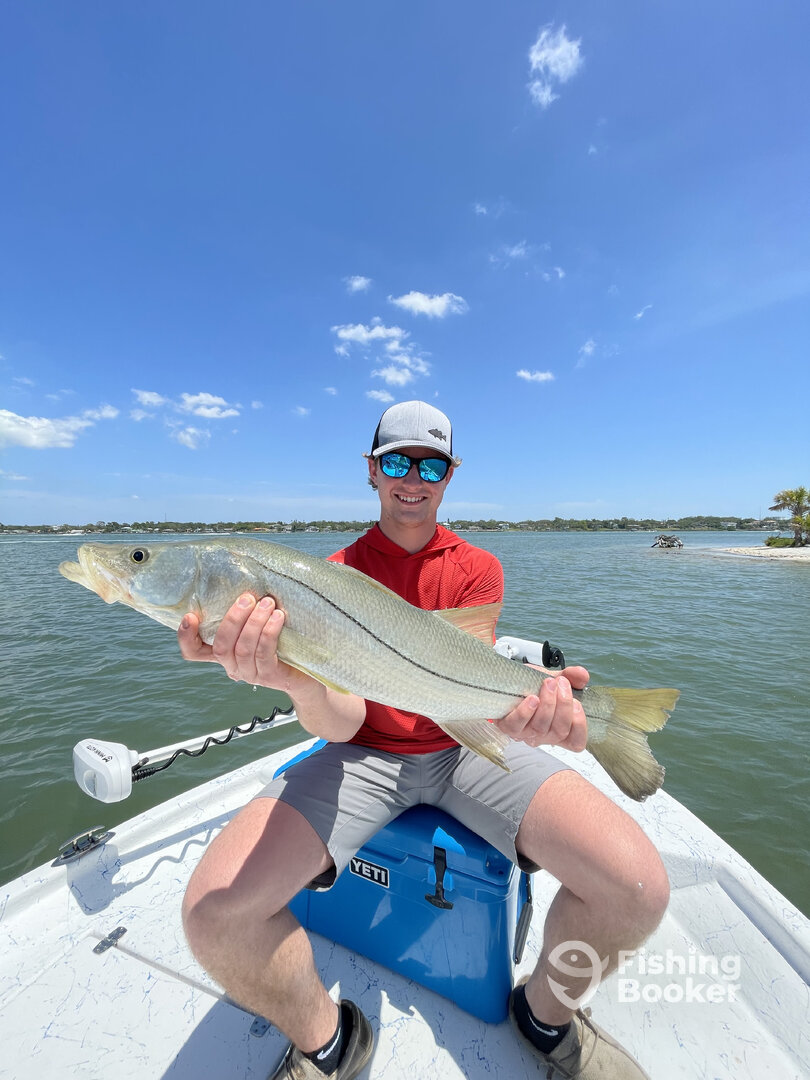 Holiday Report Photo 0