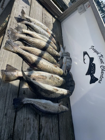 Biloxi Report Photo 2