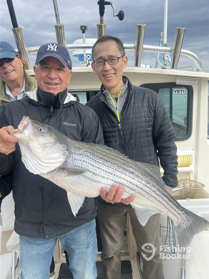 Saugerties Report Photo 0