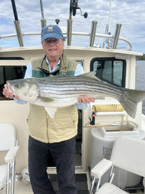 Saugerties Report Photo 1