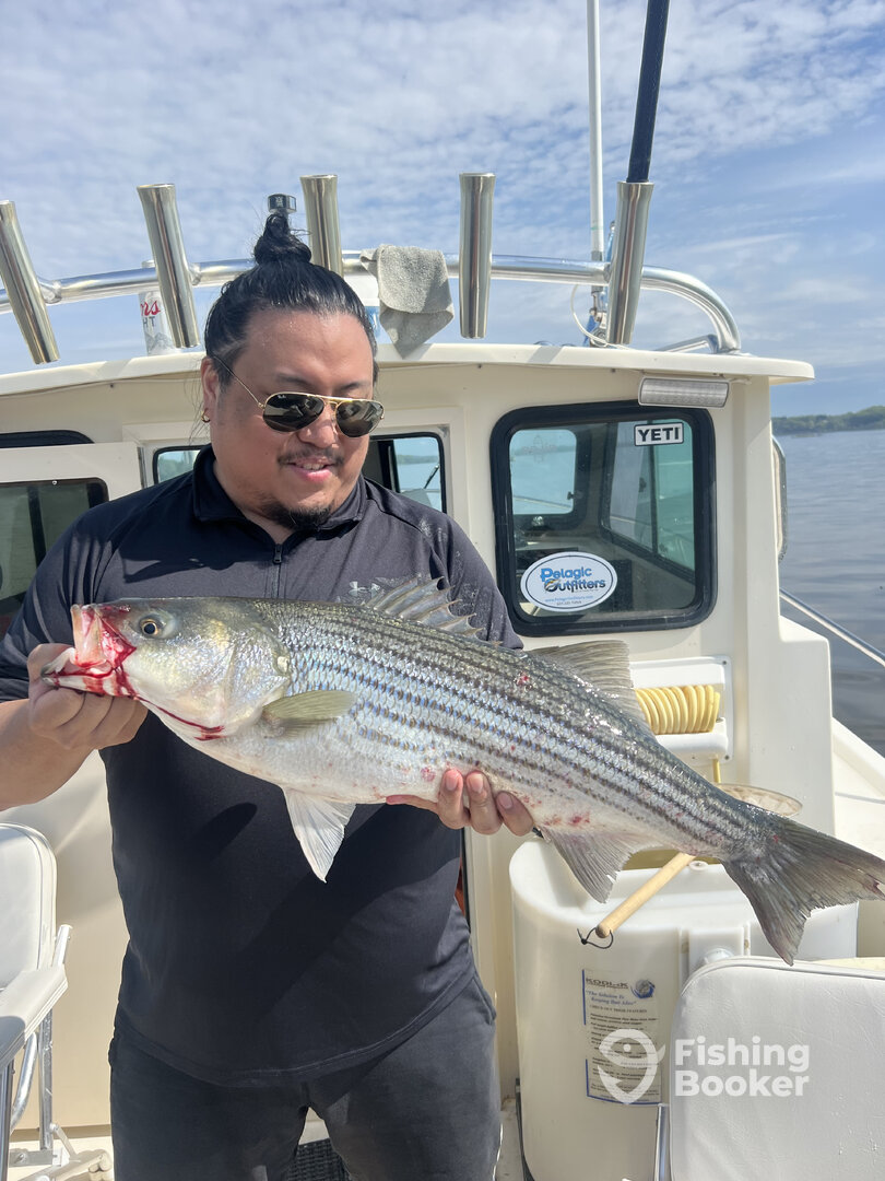 Saugerties Report Photo 0