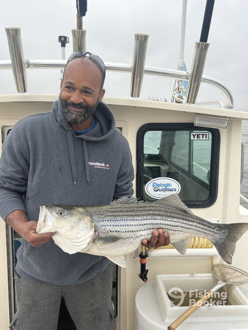 Saugerties Report Photo 0