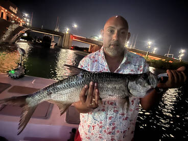 Snook and tarpon trip
