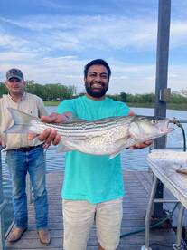 Following the birds to find fish during 