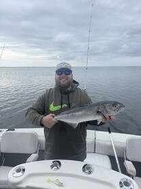 Wareham Report Photo 4