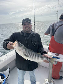 Wareham Report Photo 1