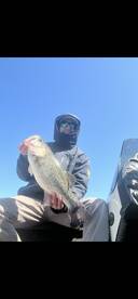 Middle Valley Report Photo 1