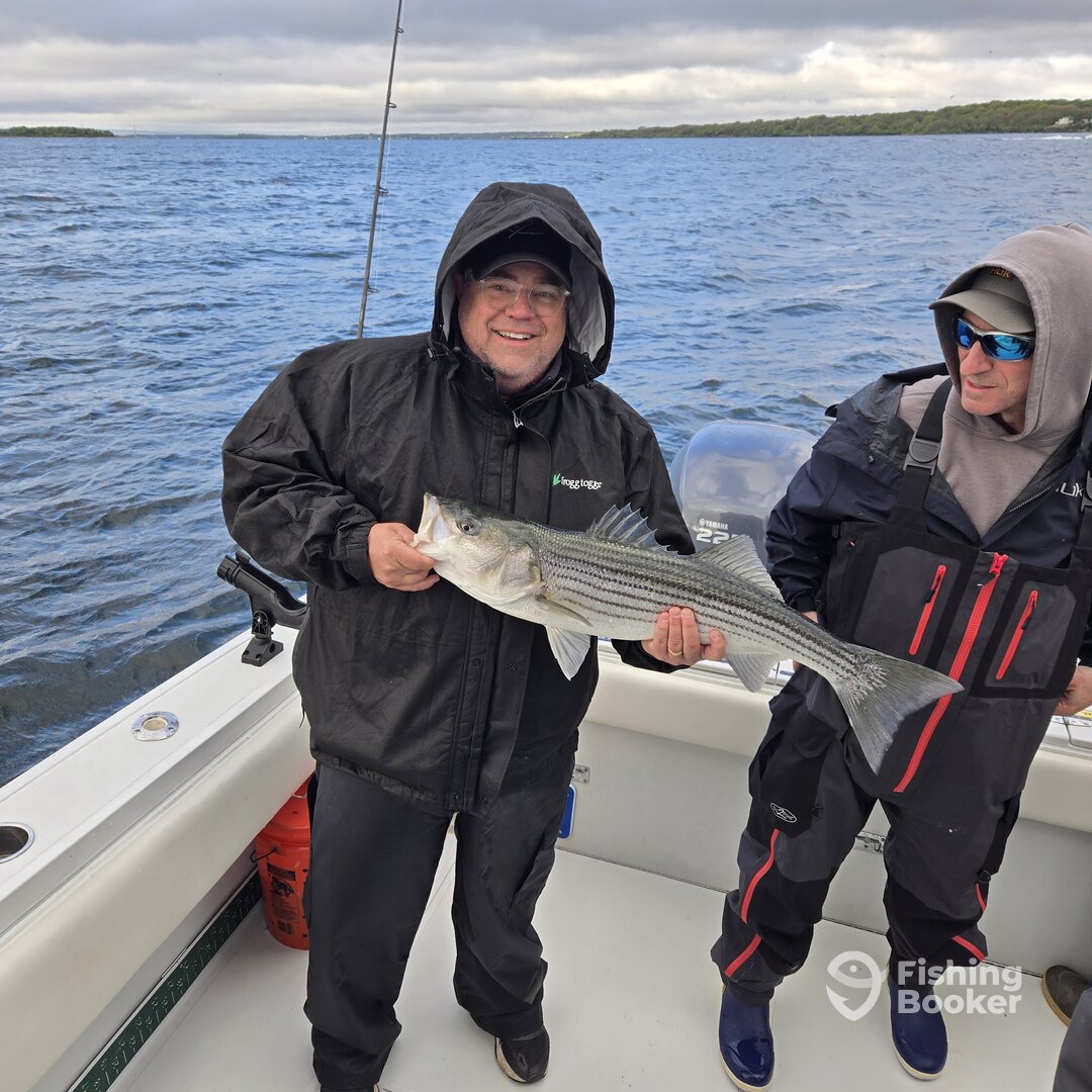 Portsmouth Report Photo 0