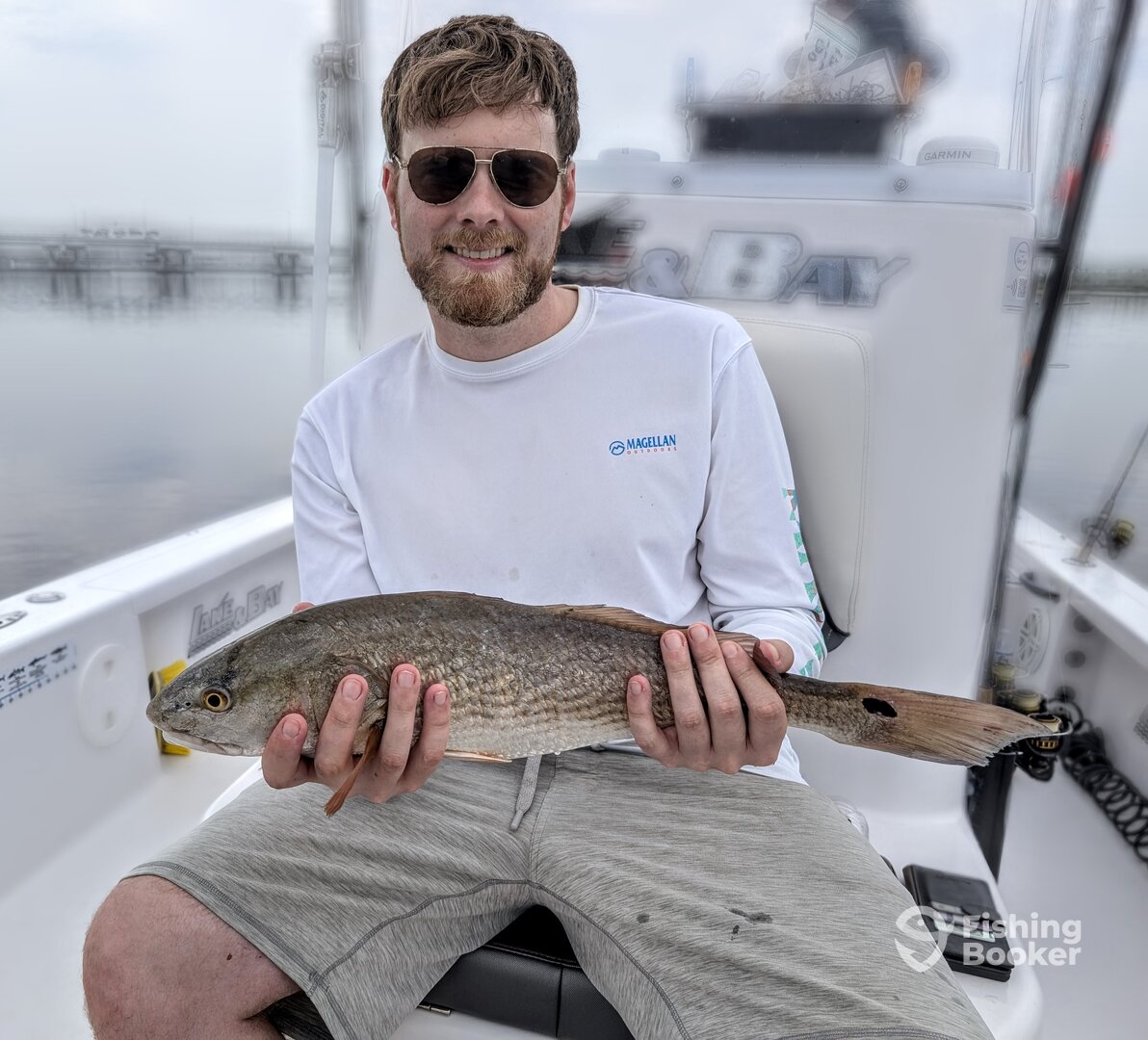 Jacksonville Report Photo 0