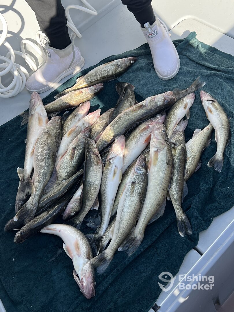 Lorain Report Photo 0