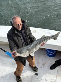 Stamford Report Photo 2