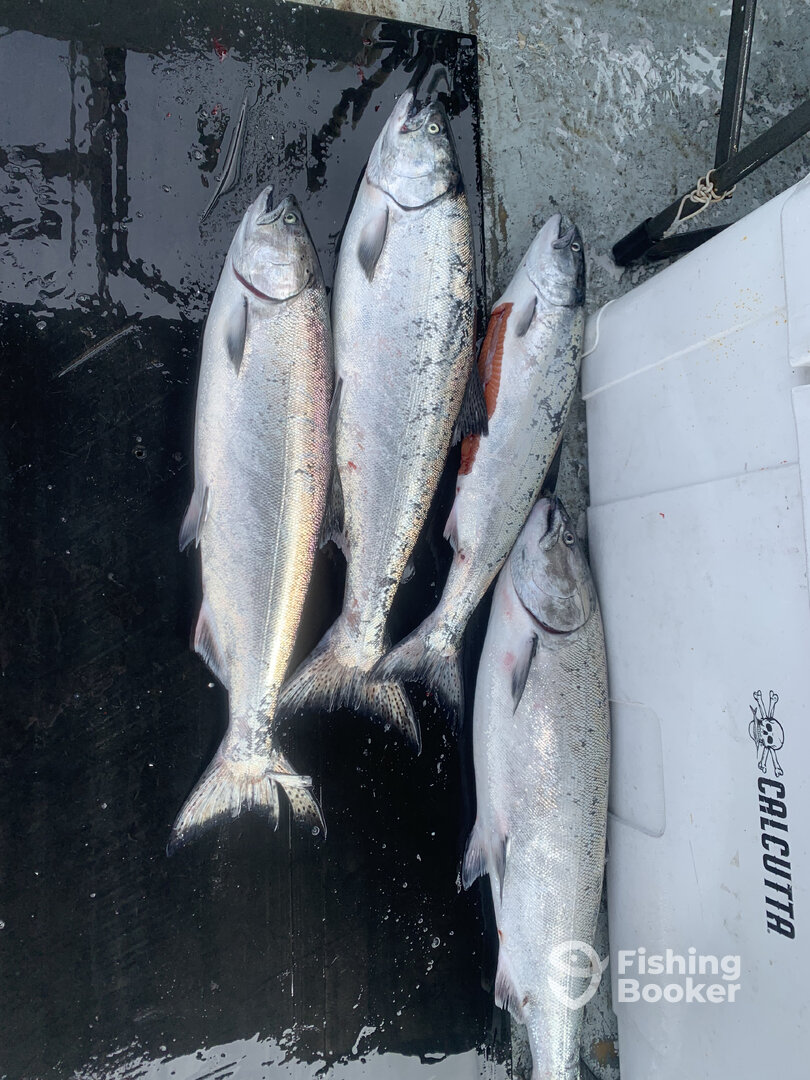 Ucluelet Report Photo 0