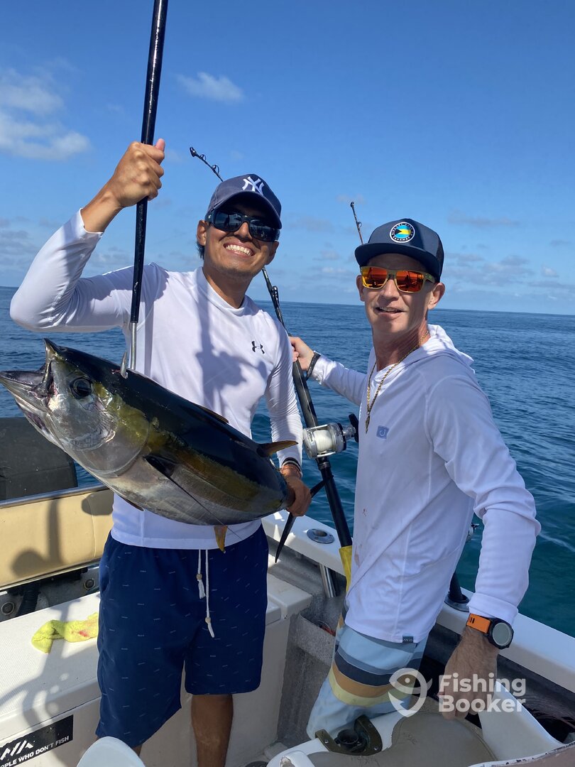 Puerto Vallarta Report Photo 0