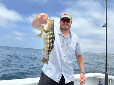 Oceanside Report Photo 1